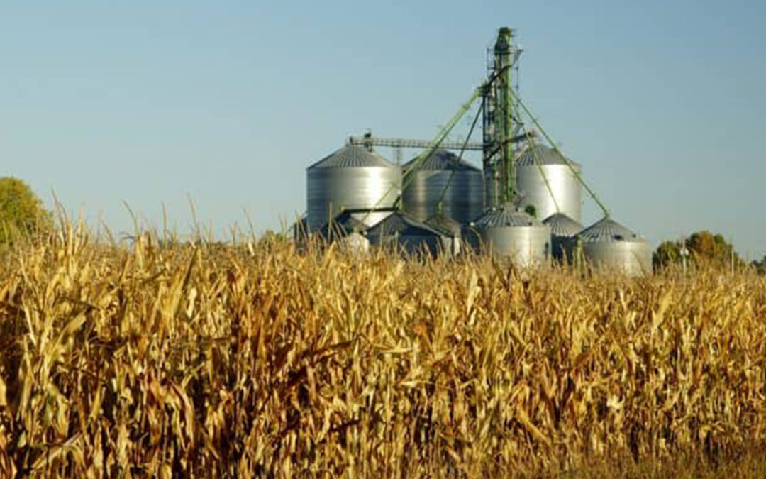 Trial Lawyers For Justice Wins $1,500,000 2 Minutes Of Pre-Death Pain & Suffering On Behalf Of Benton County Man In Grain Engulfment Case